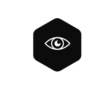 Vision